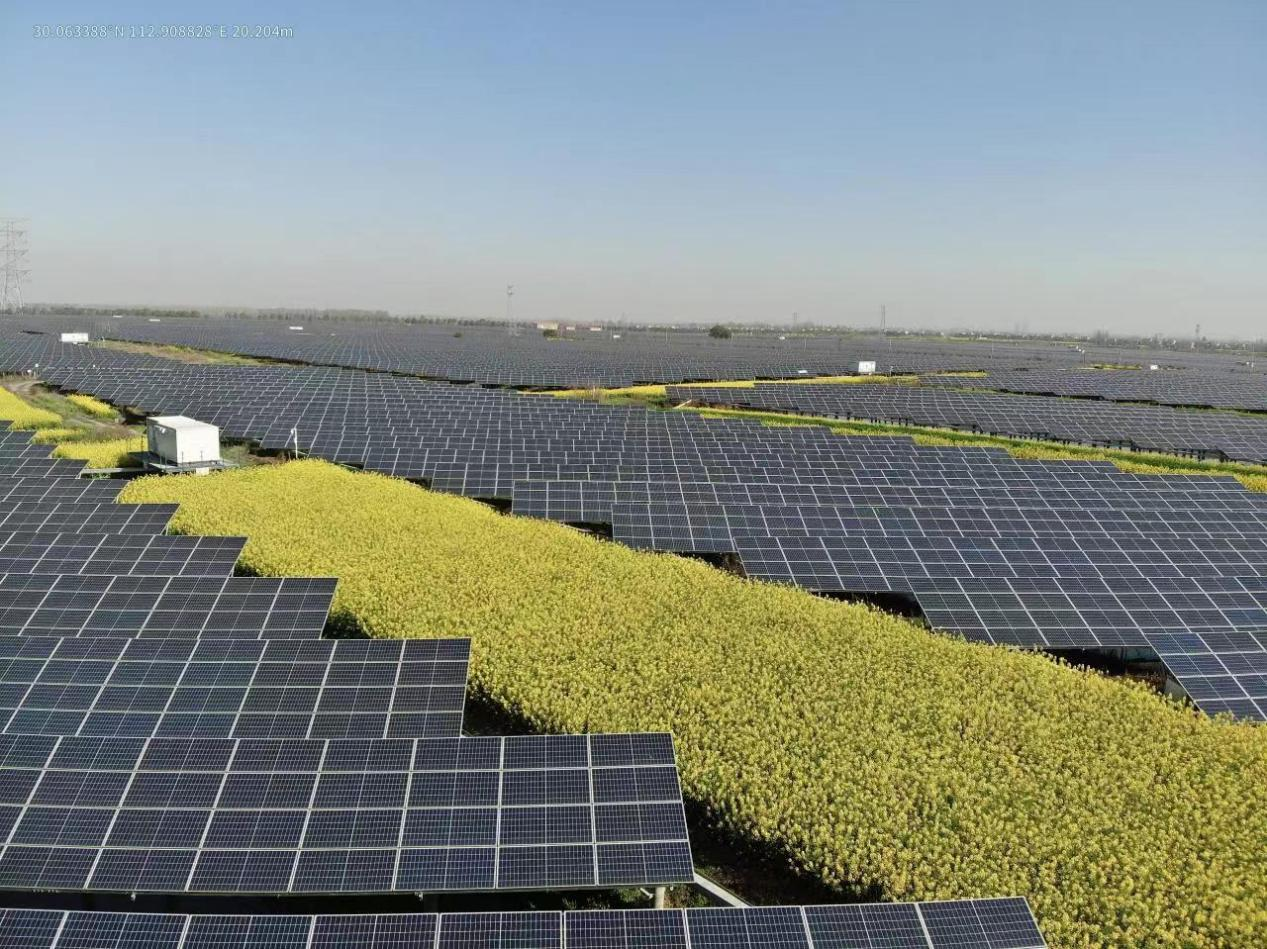 一季度新聞稿2.png 一季度新聞稿2.png