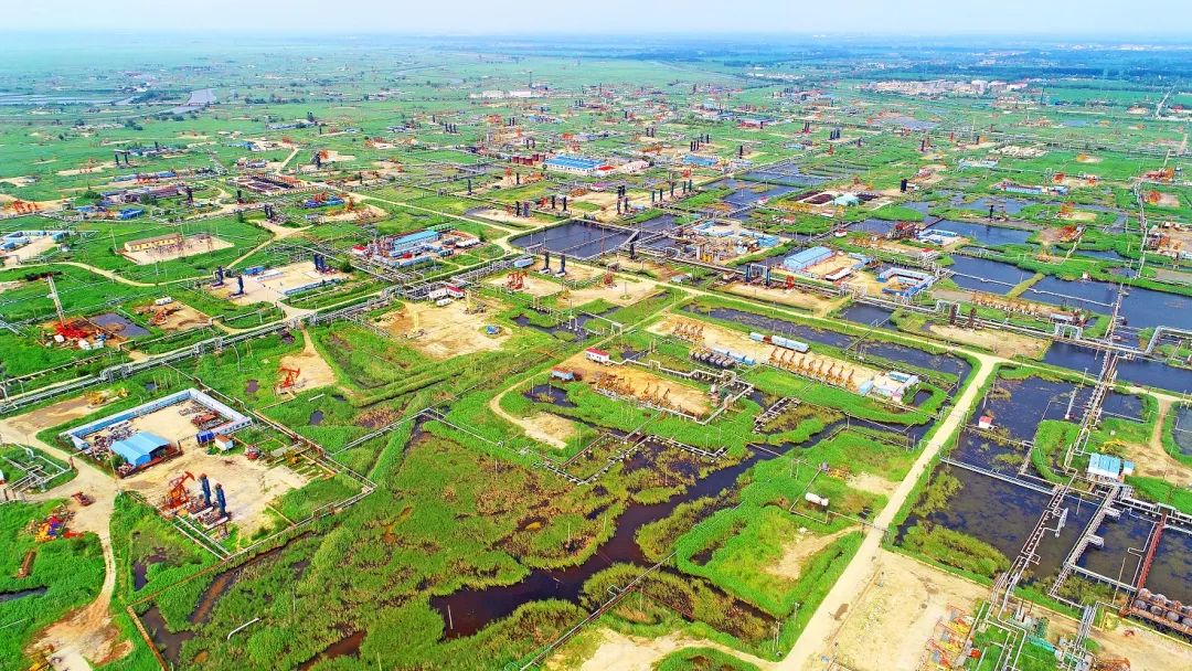 位于繞陽河畔的遼河油田杜84塊稠油生產現場。 陳允長 攝.jpg 位于繞陽河畔的遼河油田杜84塊稠油生產現場。 陳允長 攝.jpg