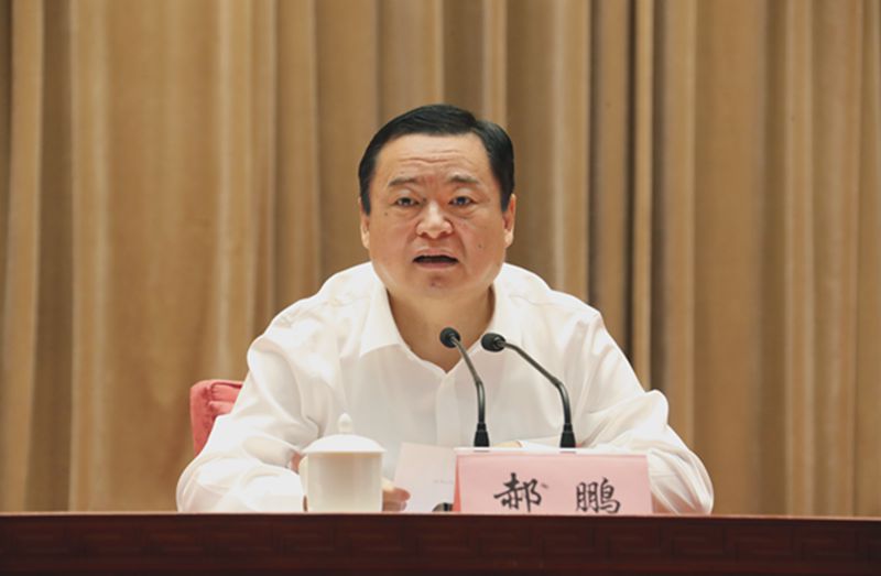 郝鵬、國資、央企、國資委、書記、主任、國企、企業改革