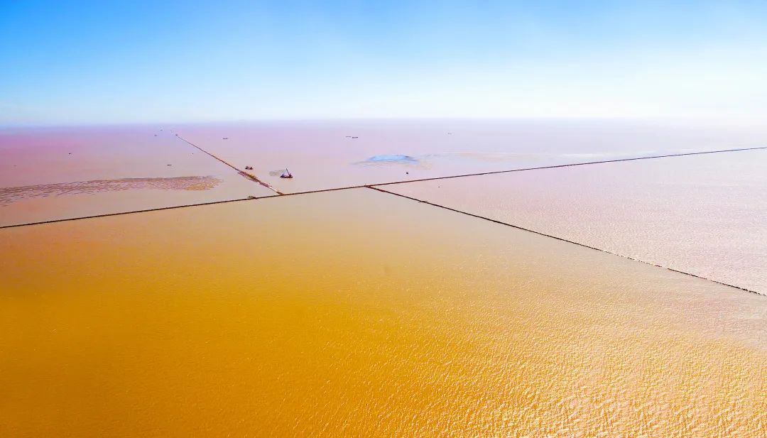 張玉卓、國資、央企、國資委、書記、主任、國企、企業(yè)改革