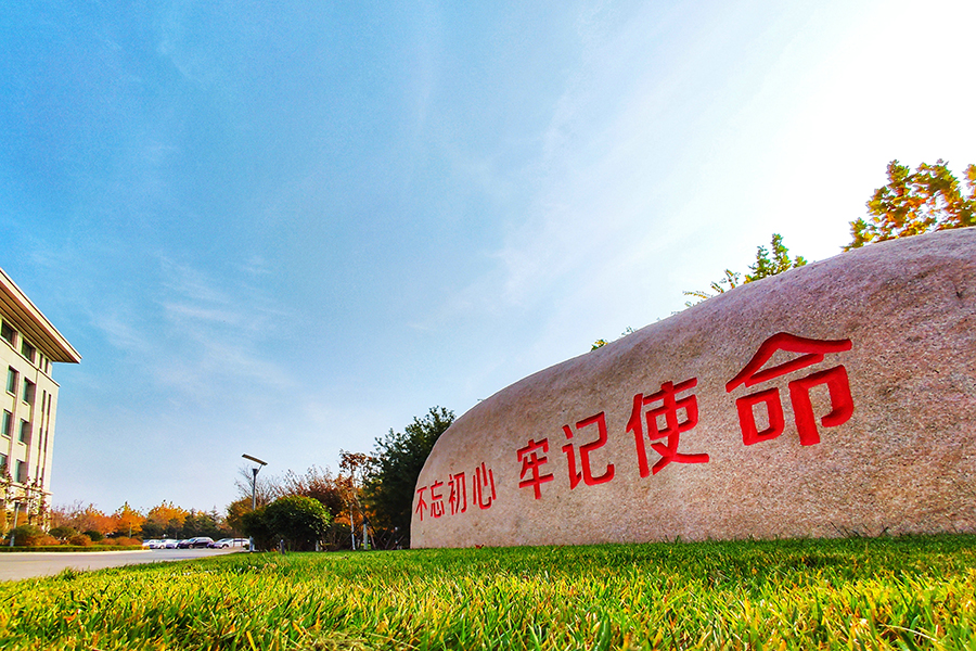 圖為平度市便民服務(wù)中心周邊綠化。（師華鵬 攝）