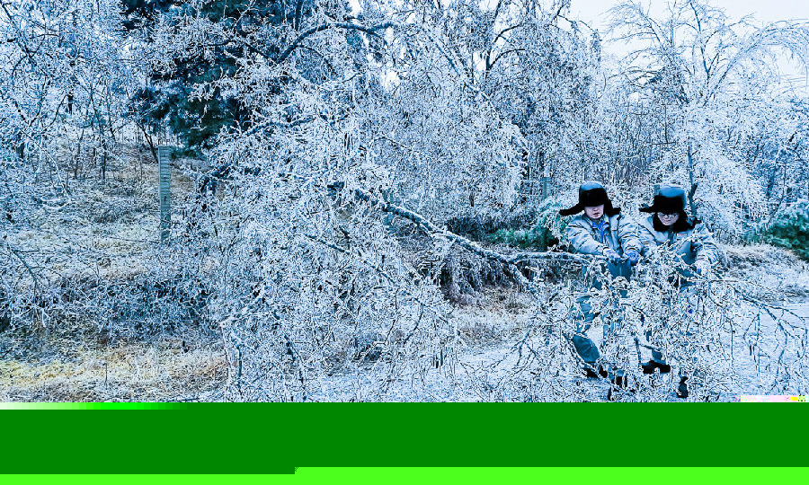 龍?jiān)催|寧望海寺風(fēng)電場員工在清理巡線道路上的障礙樹枝。（田棟棟 攝）