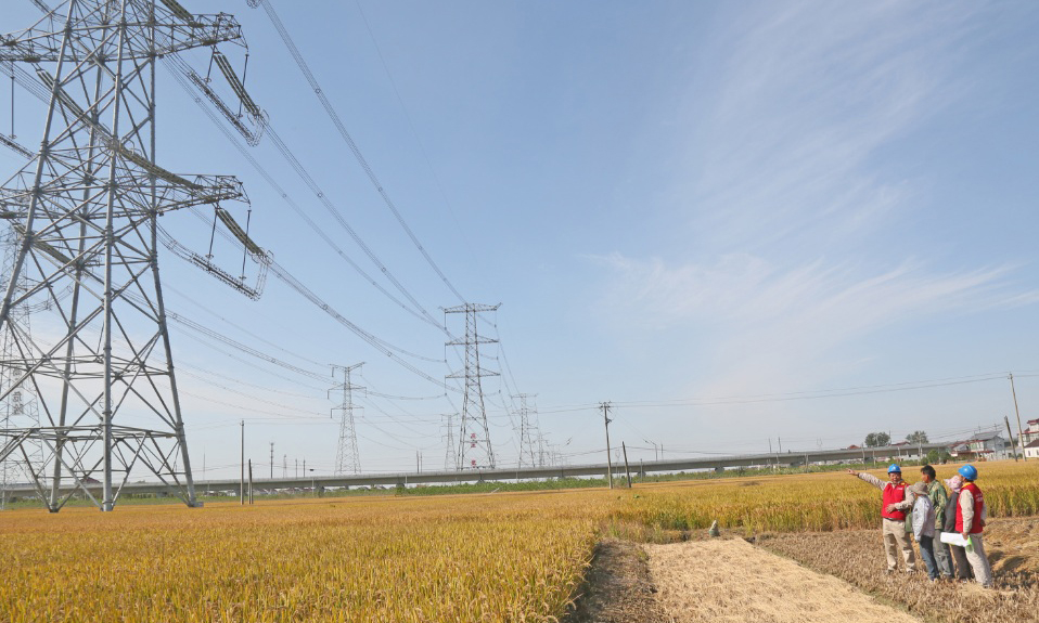 在10月下旬，國網(wǎng)東臺市供電公司全力做好中國國際進(jìn)口博覽會保供電工作，對東臺市境內(nèi)1000千伏泰吳Ⅰ/Ⅱ線通道進(jìn)行特巡，全面排查治理輸電線路通道隱患，重點(diǎn)排查治理外力破壞、交叉跨越等方面的隱患，對線下魚塘、樹竹生長區(qū)、通道附近施工、大棚、廣告牌、彩鋼瓦等防護(hù)薄弱區(qū)域開展隱患深度治理，及時清理通道內(nèi)易被大風(fēng)吹起的漂浮物和其他危險品，及時砍伐危及線路安全的樹竹，加大限高裝置、防撞裝置、智能視頻監(jiān)控裝置等物防、技防應(yīng)用，確保所有隱患點(diǎn)可控在控。