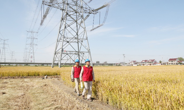 圖為國網(wǎng)東臺市供電公司工作人員巡線，保障中國國際進(jìn)口博覽會安全供電。