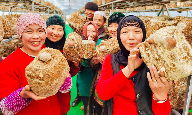 2020年6月，由中國建筑和中建二局在定點扶貧縣——甘肅康樂縣何家溝村打造的菌類農(nóng)民專業(yè)合作社喜結(jié)“碩果”。合作社集生產(chǎn)、加工、銷售為一體，屬于村集體經(jīng)濟(jì)，規(guī)劃占地11畝。一期工程由中國建筑投資70萬元，建成辦公區(qū)、種植大棚等；二期工程由中建二局投資30萬元，續(xù)建冷庫、烘干車間、停車場，以及進(jìn)行菌棒采購等。該合作社也幫助當(dāng)?shù)厝罕娫倬蜆I(yè)。