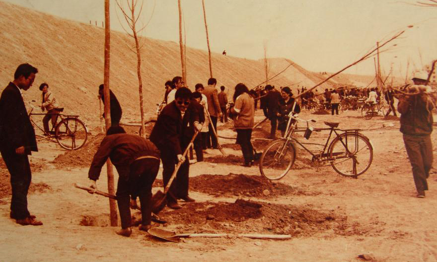 80年代準(zhǔn)能集團(tuán)職工在礦區(qū)種植樹(shù)苗。