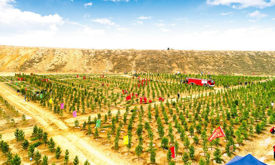 多年來(lái)，準(zhǔn)能集團(tuán)持之以恒地開(kāi)展植樹(shù)造林活動(dòng)。