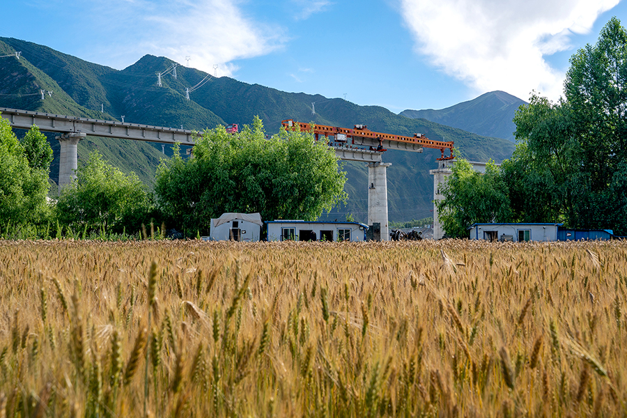 此次完成的拉林鐵路雅魯藏布江最后一跨——加查1號特大橋位于山南市加查縣境內(nèi)，全長1135米，由29孔32米簡支T梁和168米的連續(xù)梁組成。該橋位于加查水電站下游，受降雨、風(fēng)速等水域小氣候影響明顯。圖為中鐵十一局拉林鐵路架梁隊(duì)正在架設(shè)加查1號特大橋。（丁慶濱 攝）
