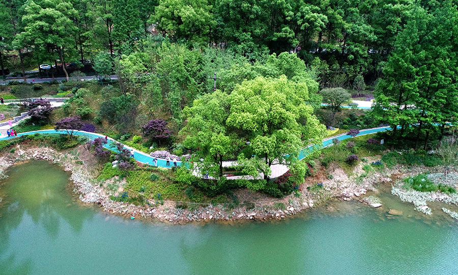 圖為縉云山黛湖生態公園一角。