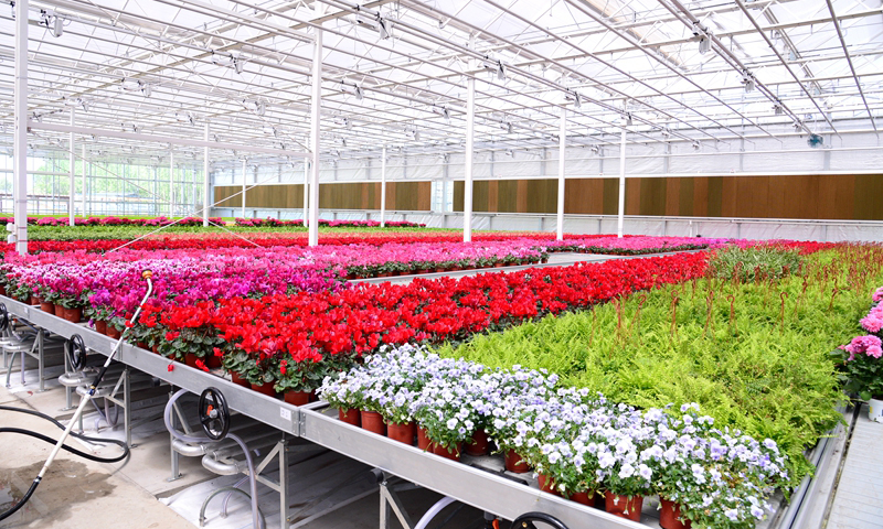 據了解，整個檢驗檢疫隔離與園藝技術服務區面積將近3萬平方米，完全能滿足本屆世園會功能需求。圖為植物檢驗檢疫隔離與園藝技術服務區一隅。