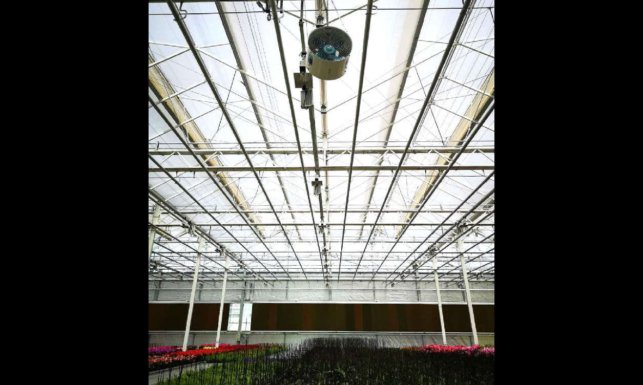 圖為參展植物在植物檢驗檢疫隔離與園藝技術服務區“療養”，待狀態恢復后再登臺綻放光彩。 