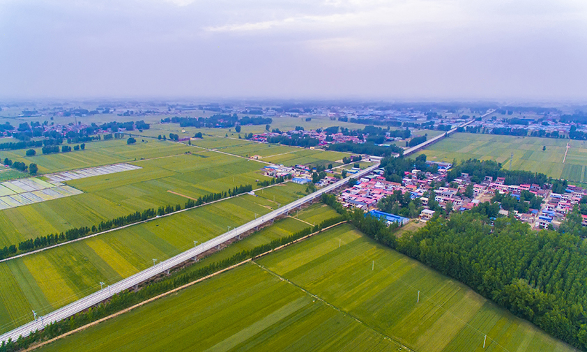 據悉，鄭阜高鐵將在今年8月進行聯調聯試，通車后，從河南鄭州到安徽阜陽將由原來的5小時30分鐘縮短至1小時。圖為鄭阜鐵路鄭許特大橋全景。（金偉 攝）