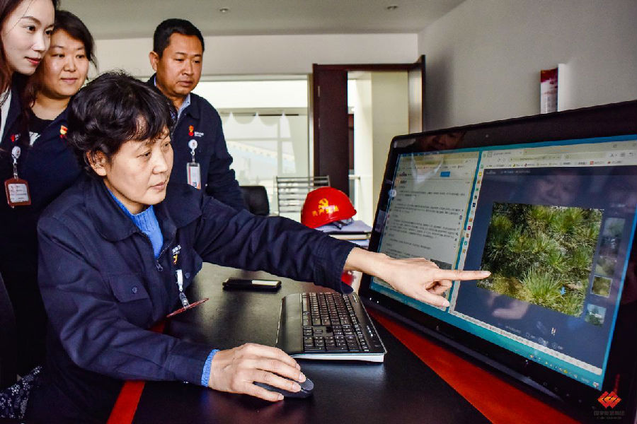 圖為工作人員學(xué)習(xí)植樹(shù)知識(shí)。（孫丁 攝）