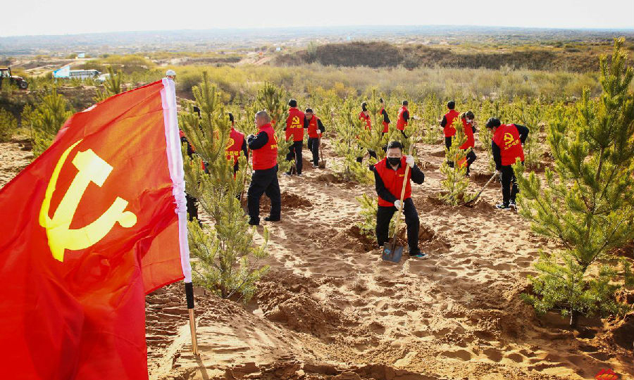 圖為種植現(xiàn)場(chǎng)。（孫丁 攝）