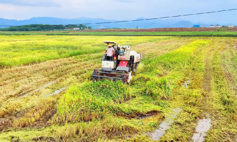 圖為浙江火電參建的浙江金華土地整治項(xiàng)目，墾造面積約2980畝。項(xiàng)目建成后，將實(shí)現(xiàn)大規(guī)模農(nóng)業(yè)產(chǎn)業(yè)規(guī)劃和生態(tài)友好型循環(huán)農(nóng)業(yè)綜合利用開發(fā)。