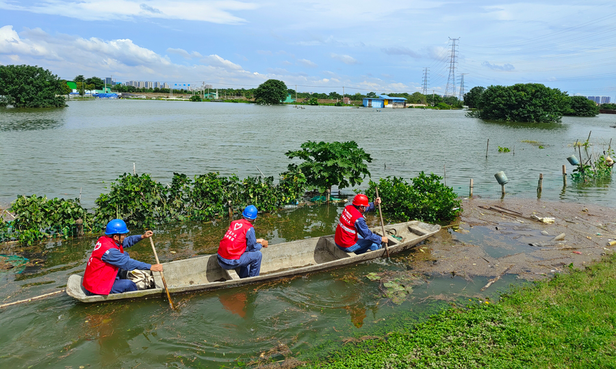 6月16日，廣東佛山順德局樂從所黨員突擊隊撐著小艇，前往大閘村開展線路特巡，保障電網安全運行。嚴智鏗 攝