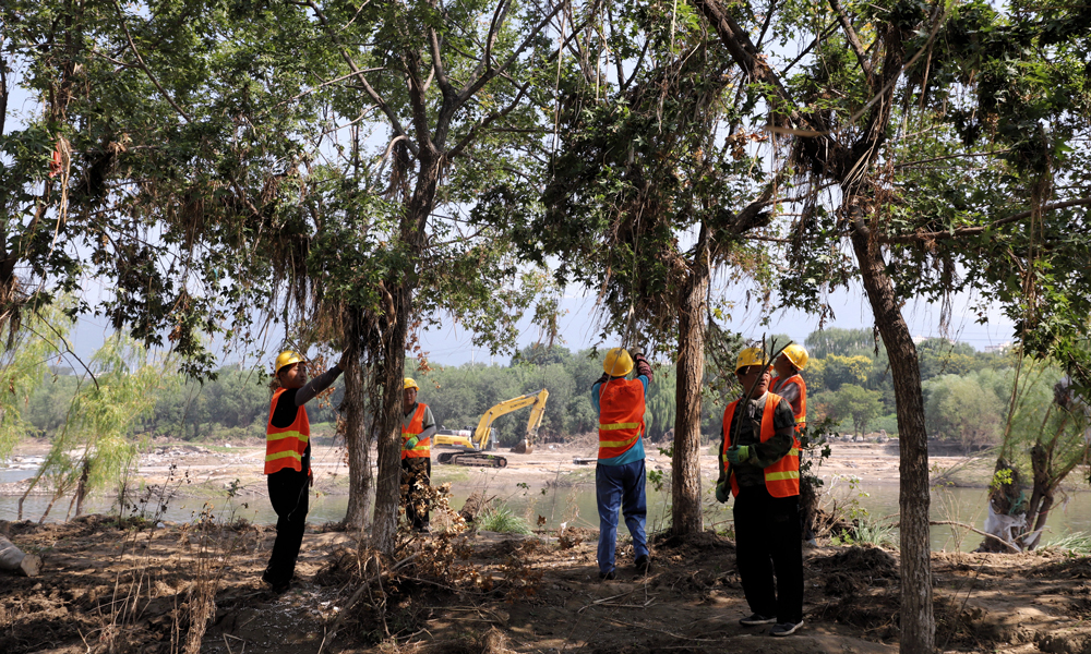 8月16日，中國鐵建工作人員在清理樹障。孟凡瑞 攝