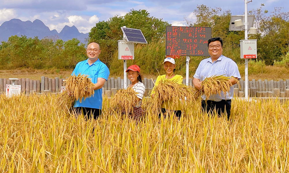金秋豐收季，收獲正當時。中國移動“數智”力量助力秋收，數字化、機械化收割場景不斷涌現，一幅幅秋收美景圖正在廣袤的鄉村田園徐徐展開。