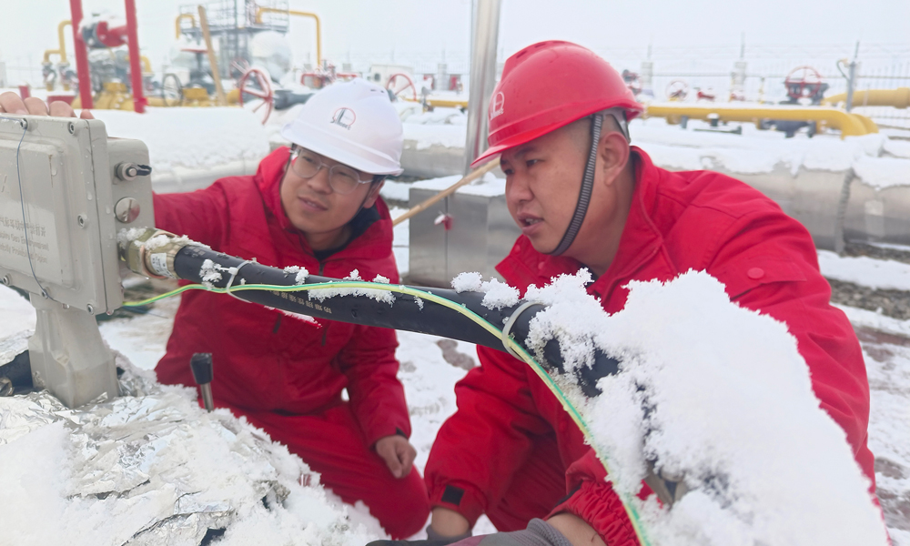 中國石化東北油氣分公司銷售中心員工冒雪查驗(yàn)計(jì)量儀表。