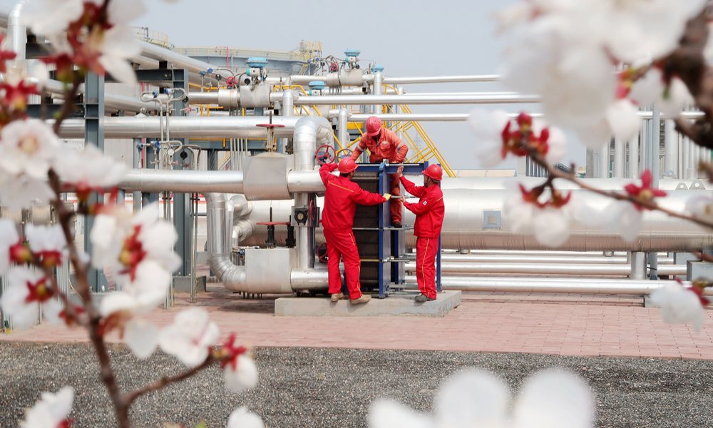 在冀東油田油氣集輸公司高尚堡聯(lián)合站，員工們自己種植的桃花開了。大家在桃花映襯下維護保養(yǎng)原油換熱器設(shè)備，確保春季安全生產(chǎn)。