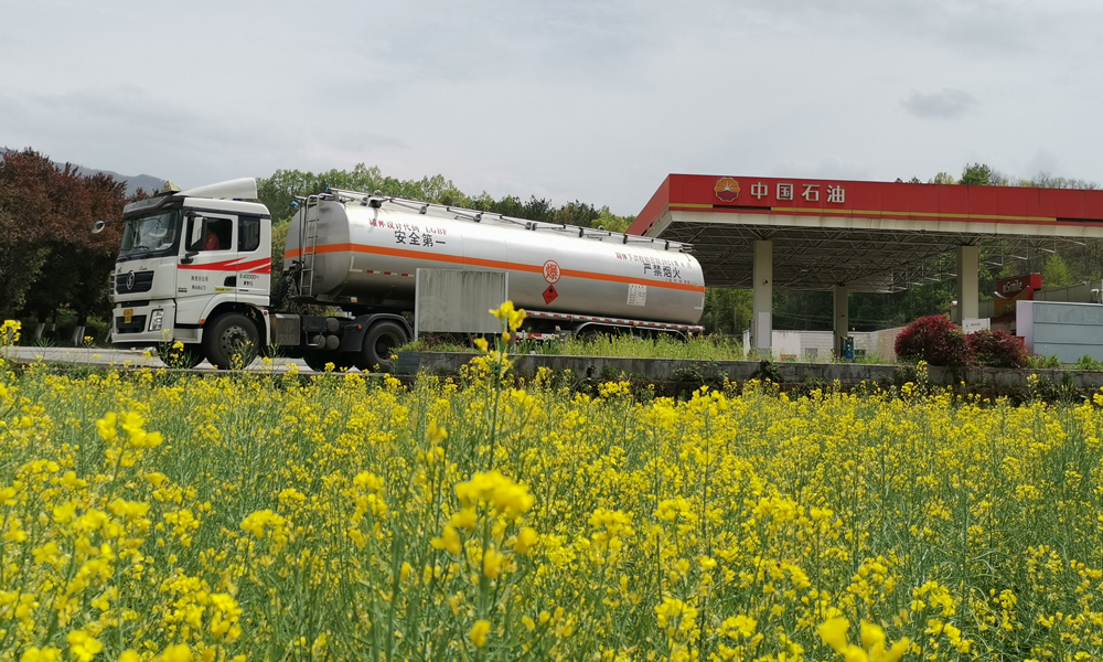 近日，陜西漢中洋縣的萬畝油菜花香氣四溢，在金色的油菜花與鮮艷的寶石花交相輝映下，昆侖物流公司配送車輛為洋縣春耕保供重點加油站配送油品。昆侖物流公司與銷售公司建立聯(lián)動保供機制，優(yōu)化生產(chǎn)組織，提高運行效能，全力保障春耕用油的安全配送。