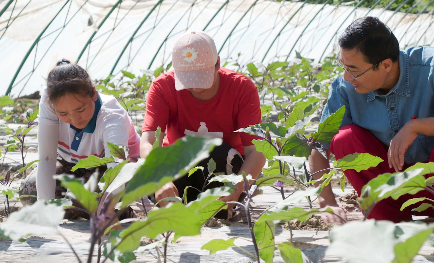 招商局集團(tuán)始終堅(jiān)持參與式幫扶的理念，幫助農(nóng)戶嵌入產(chǎn)業(yè)發(fā)展鏈條，提升農(nóng)戶自身發(fā)展能力，構(gòu)建緊密的利益鏈接機(jī)制，形成“科技+企業(yè)+基地+農(nóng)戶”的運(yùn)作模式。項(xiàng)目建設(shè)過程中吸納周邊低收入人口務(wù)工，項(xiàng)目投資形成的產(chǎn)業(yè)大棚資產(chǎn)歸村集體所有，主要租賃給種植大戶，種植辣椒、瓜果等反季節(jié)蔬菜，銷往湖南、湖北、四川等地。圖為工作人員向大棚種植戶了解生產(chǎn)情況。