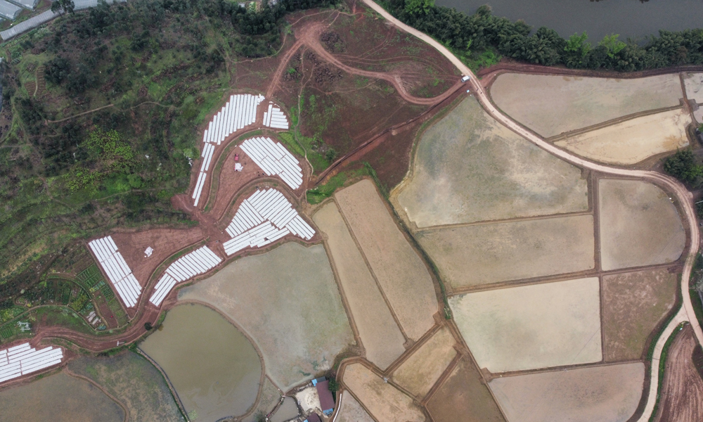 經過“四改”工程整治之后的便捷高效的田間道路體系，實現路網與路網、路網與田塊、田塊與田塊之間連接暢通，滿足機械化作業通行需求，農田宜機化率達100%，糧食產量從500斤/畝提產至800斤/畝，農業種植的全要素生產率大幅提升。