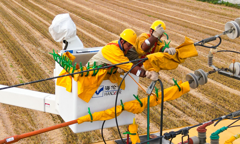 國家電網山東濟南供電公司工作人員對農業排灌專用線路開展帶電作業。