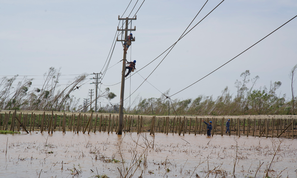 近日，超強臺風“摩羯”先后在海南、廣東登陸，對途徑地區的電網設備造成了嚴重破壞，南方電網在具備搶修條件下第一時間組織開展災后搶修復電，竭盡全力將災害損失降至最低，全力恢復人民群眾生產生活用電。圖為9月8日，南方電網廣東清遠供電局支援湛江隊伍在10千伏線路開展導線修復工作。