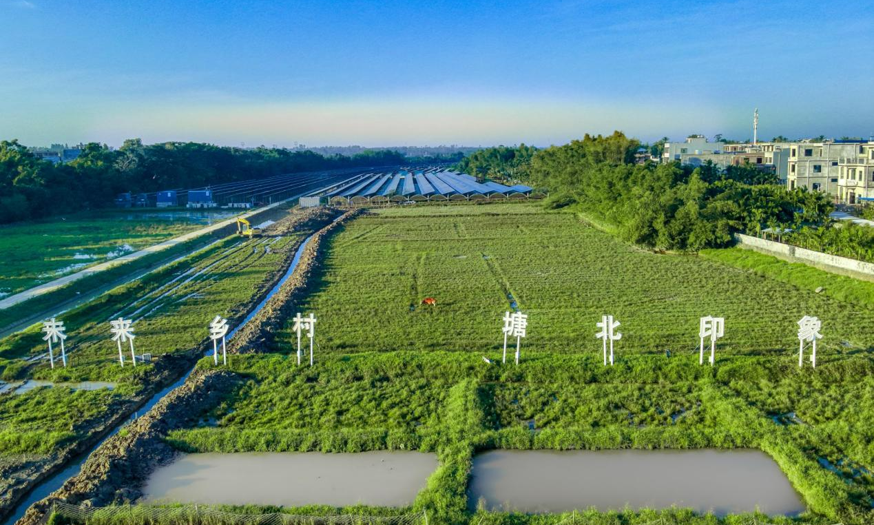 近年來，國家能源集團海南公司澄邁縣塘北村光伏產業振興項目通過整合公共建筑屋面、露天公共活動場所、村民自有承包地等方式，以“智慧光伏+”為切入點，建設10.6萬平方米分布式光伏電站，激活當地鄉村振興“新引擎”。項目同時謀劃發展農業特色產業、規模化養殖，因地制宜發展物流配送中心、農產品分揀中心，逐步探索建集智慧光伏、新型農業、旅游觀光于一體的鄉村產業發展新路子。