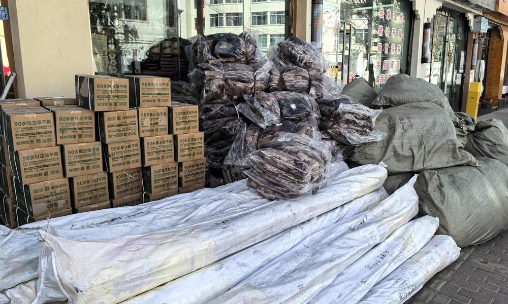 中交集團所屬中交建筑在日喀則市籌集了方便面2車、礦泉水2車、帳篷50頂，干糧、手套、軍大衣等防寒物資2車，整裝待發隨時馳援災區，彰顯央企責任擔當。