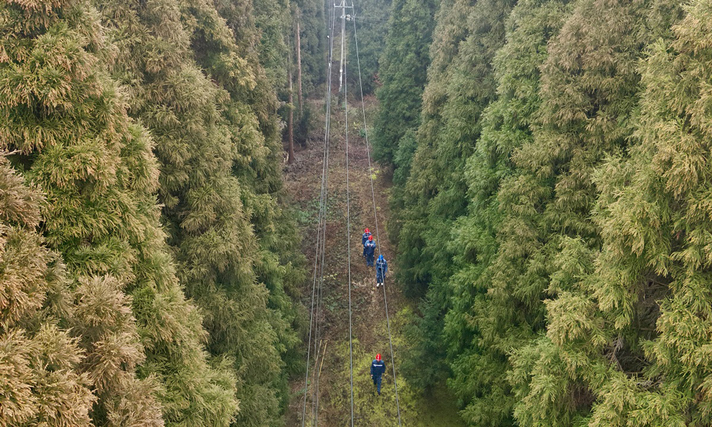 當前進入春季山火高發期，燒荒、踏青、祭祀等野外用火行為增多，山火風險增大。與此同時，田間地頭已是一派繁忙景象——廣西欽州的農戶搶抓晴時翻整土地，云南紅河的馬鈴薯基地機器轟鳴，貴州凱里的萬畝油菜花競相開放……山火對電網安全運行影響大，春耕備耕保供電點多面廣，面對“雙重考驗”，南方電網從監測預警、政企聯動、隱患治理、應急處置等方面制定風險防范舉措，全力護航電網安全，保障春耕春種等民生用電。