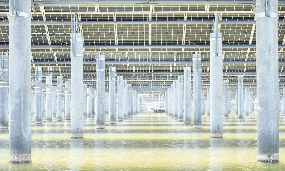 作為魯北鹽堿灘涂地風光儲輸一體化基地重點項目，項目還打造了“水上光伏發電+水下海產養殖”的循環經濟模式，在提供清潔電能的同時兼顧海域養殖、海水曬鹽與提溴等，實現海域空間立體開發和綜合利用，助力黃河流域生態保護和高質量發展。