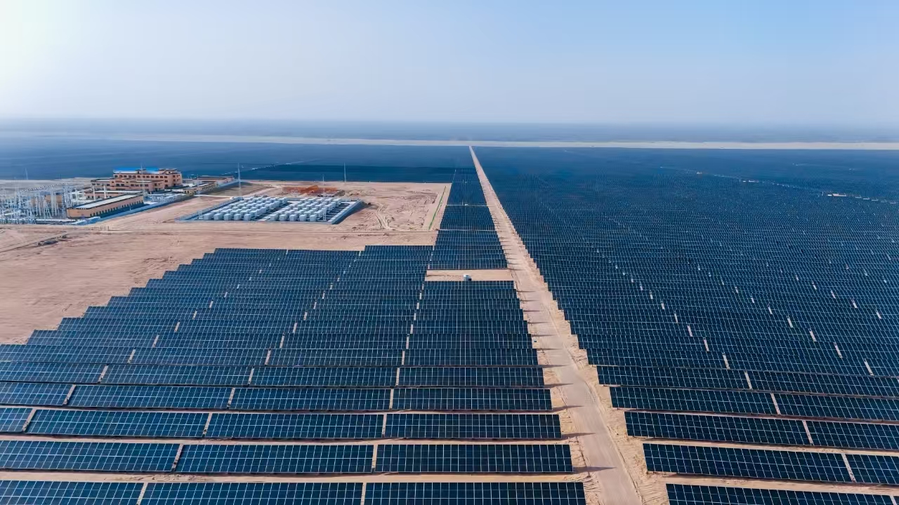 大漠春醒，萬物復(fù)蘇。在中廣核和田洛浦50萬千瓦光伏治沙項目的沙海中，一幅 