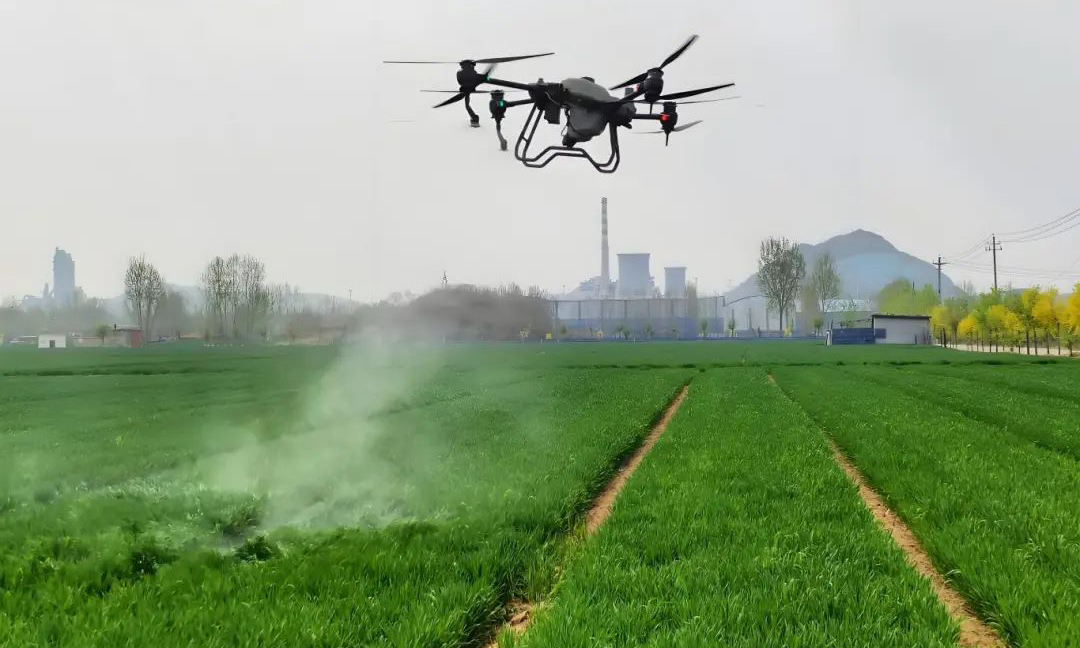 一陣春風過，麥苗搖頭晃。眼下正值小麥返青和起身關鍵期，融通農發濟南區域公司所屬農場積極調配植保無人機，協助承租戶開展施肥作業，大大提升農藥噴灑和追肥作用效率。