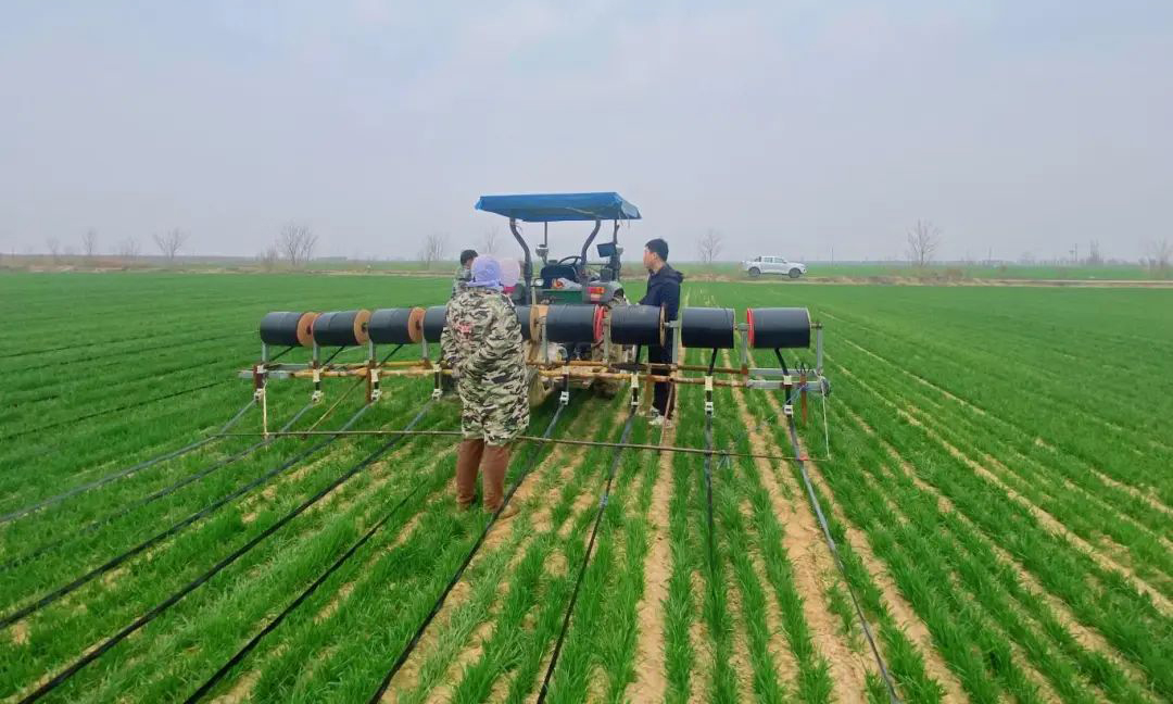 春回大地，燕趙沃野披新綠。融通農發北京區域公司旗下石家莊農場、太原永濟農場緊抓春管黃金期，創新應用智能滴灌與水肥協同技術，全面推進麥田春灌、施肥，以“節水15%、節肥20%”的綠色種植模式，為夏糧增收筑牢生態保障。