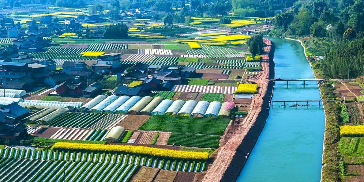 近日，四川青衣江流域樂山灌區“十四五”續建配套與現代化改造工程項目全灌區所有灌排渠道實現全線通水，清澈的青衣江水順著改造一新的渠道奔涌向前，為當地春耕送來“及時雨”。項目由中國建筑旗下中建八局承建，通水后將改善灌面22.2076萬畝，投產后預計糧食增產9480.59噸，經濟作物增產7189.81噸。