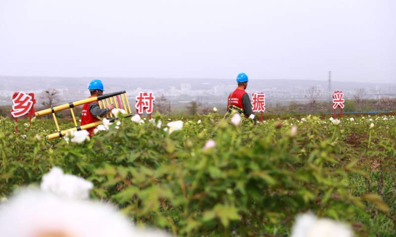 國家電網河南洛陽洛寧縣供電公司工作人員在牡丹園提供服務。