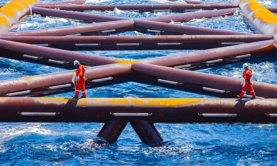 本次安裝采用滑移下水技術(shù)，將導(dǎo)管架從“海洋石油229”船平穩(wěn)滑入大海。作業(yè)團(tuán)隊(duì)調(diào)配國(guó)內(nèi)最大海洋油氣工程起重船“藍(lán)鯨7500”，利用先進(jìn)定位系統(tǒng)和導(dǎo)管架注水技術(shù)，實(shí)時(shí)精準(zhǔn)調(diào)整導(dǎo)管架位置和姿態(tài)，最終實(shí)現(xiàn)扶正坐底并精準(zhǔn)就位。