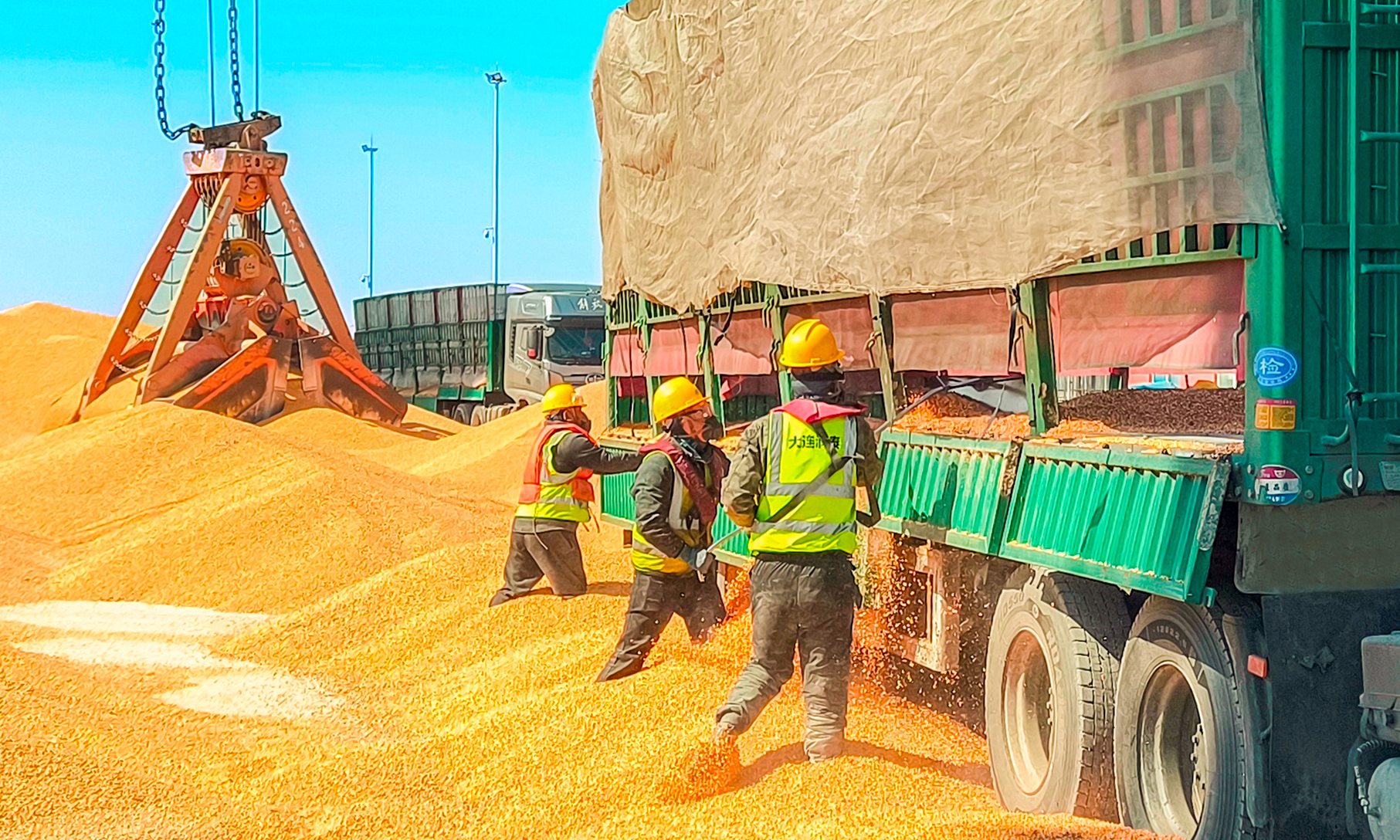 金秋時節，招商局集團旗下遼港集團各港區糧食作業現場機器轟鳴，金黃的糧食通過傳送帶源源不斷地裝入船艙，開啟“北糧南運”新旅程。作為東北地區糧食南運的重要海上通道，遼港集團通過創新物流模式等舉措，持續夯實“北糧南運”大通道樞紐地位，為保障國家糧食跨區域流通提供有力支撐。圖為丹東港散糧碼頭分公司作業現場。 