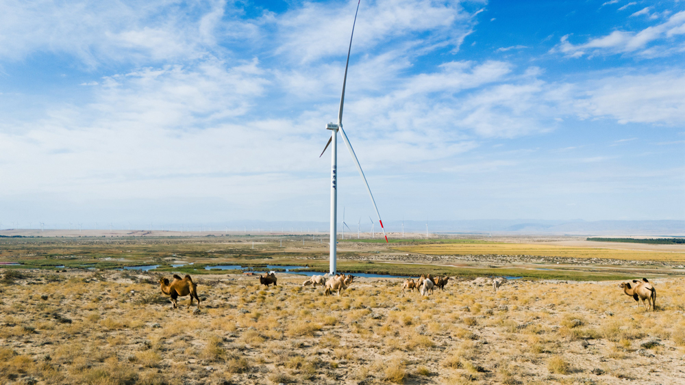 近日，東方電氣集團布爾津100萬千瓦風電項目完成全部風機吊裝，標志著項目全面進入并網沖刺階段。該項目對于推動當地能源結構轉型、促進經濟發展和生態保護具有重要意義。