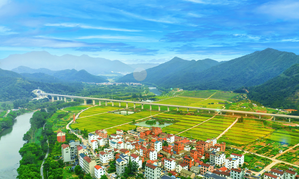 杭溫高鐵北起杭州市桐廬東站，向南經過金華市、臺州市，到達溫州市，引入改建后的溫州南站，線路全長260公里，設計時速350公里，全線設9個車站。工程建設分為兩期，一期為義烏至溫州段，二期為杭州至義烏段。其中，中鐵十一局承擔杭溫高鐵一期15座隧道、16座橋梁、14段路基、一期433公里正線和站線鋪軌、義烏站場改造等施工任務以及575榀箱梁的預制、架設任務。圖為杭溫高鐵南江特大橋。