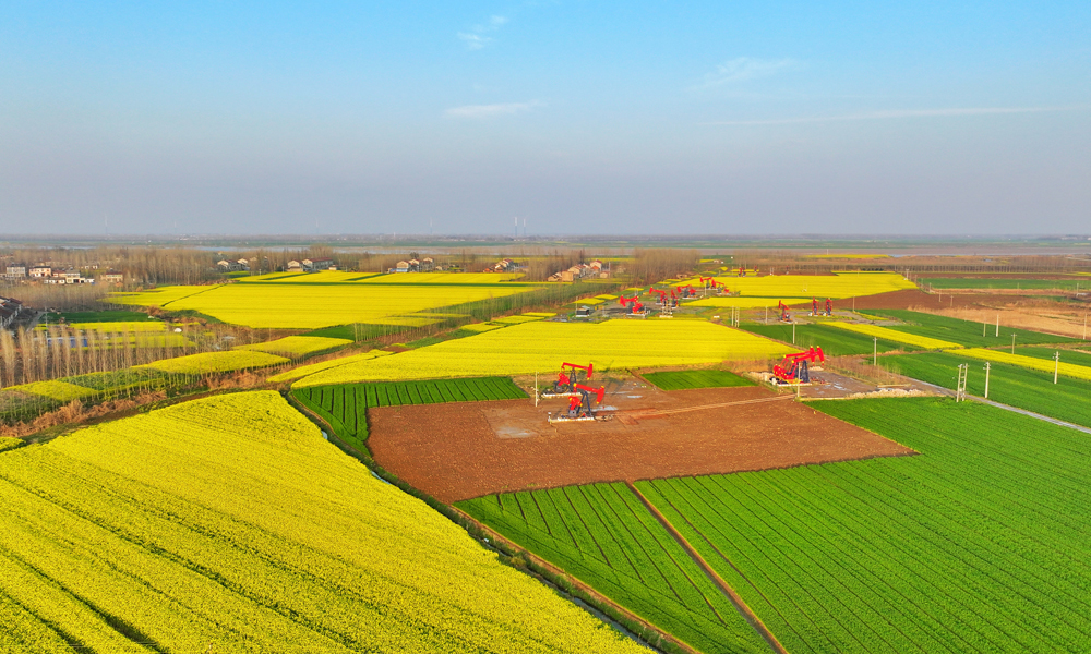 今年以來，中國石化江漢油田緊抓春季上產有利時期，發揮一體化合作優勢，扎實抓好鉆、試、投等工作，全力跑出產建加速度。圖為江漢油田潭口油區。