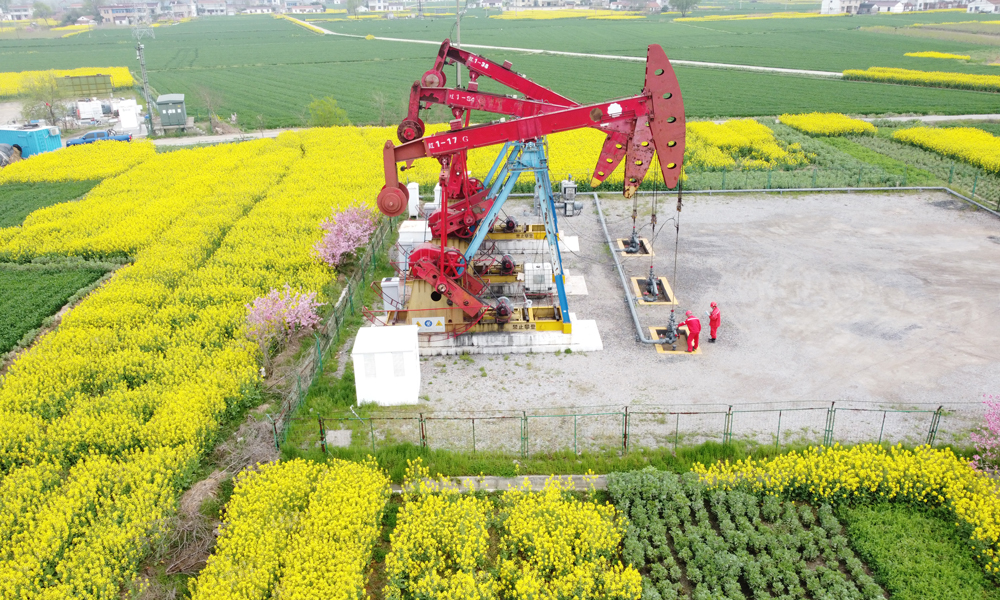 百花爭(zhēng)艷春意濃。天南海北的中國(guó)石油人爭(zhēng)上產(chǎn)，保供應(yīng)，掀起春季生產(chǎn)熱潮。在油氣生產(chǎn)現(xiàn)場(chǎng)，恣意生長(zhǎng)的繁花與鮮紅的抽油機(jī)、奮戰(zhàn)的石油身影交織在一起，各生產(chǎn)平臺(tái)皆是熱火朝天的拼搏場(chǎng)景。在管道建設(shè)現(xiàn)場(chǎng)，焊花飛舞、弧光閃爍，管道人展現(xiàn)出高超的焊接技藝，確保高質(zhì)量完成建設(shè)任務(wù)。在春耕保供一線，中國(guó)石油建立上下游企業(yè)聯(lián)動(dòng)保供機(jī)制，備足春耕用油，以最大產(chǎn)能向市場(chǎng)供應(yīng)高品質(zhì)農(nóng)用物資，為農(nóng)業(yè)發(fā)展注入澎湃動(dòng)能。圖為遼河油田。