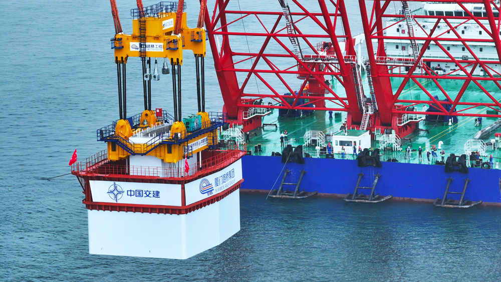 廈金大橋(廈門段)項目是構建廈金“同城生活圈”的先手棋。項目全線建成通車后，將與翔安機場、廈金航線共同構建起對臺海陸空立體交通新格局，對福建省探索海峽兩岸融合發展新路徑，建設兩岸融合發展示范區具有重要意義。