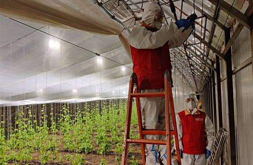 戰(zhàn)疫情 保春耕 白山松水播撒希望