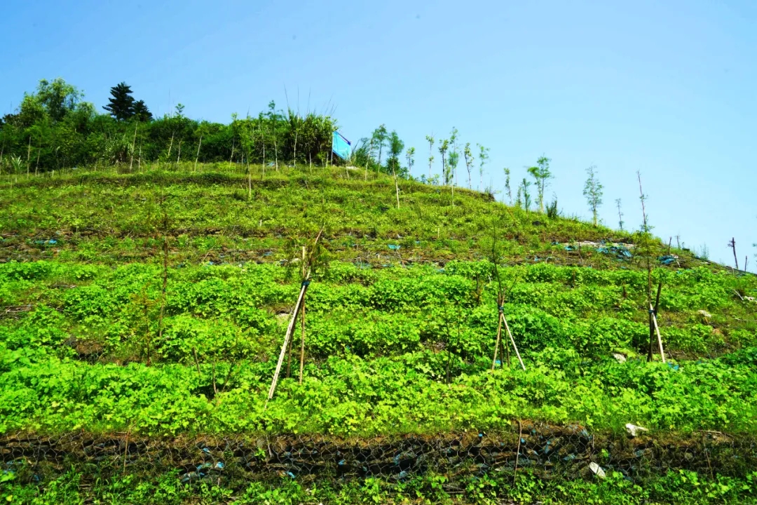 庫區3.jpg 庫區3.jpg