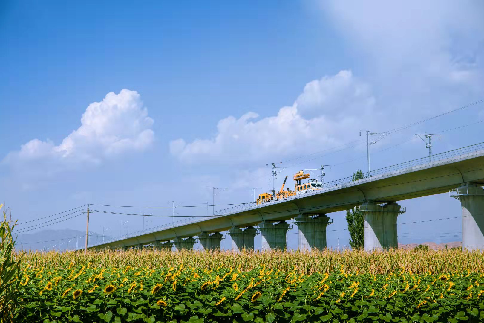 中鐵電氣化局集團有限公司承擔建設的中蘭客專靖遠黃河特大橋工點 (4).jpg 中鐵電氣化局集團有限公司承擔建設的中蘭客專靖遠黃河特大橋工點 (4).jpg