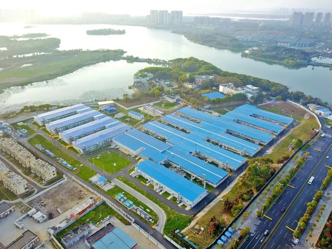 W020221017328587067947.jpg W020221017328587067947.jpg