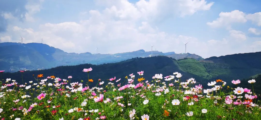 廣西樂業風電2.jpg 廣西樂業風電2.jpg